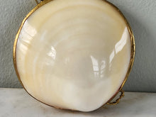 Load image into Gallery viewer, Seashell Coin Purse