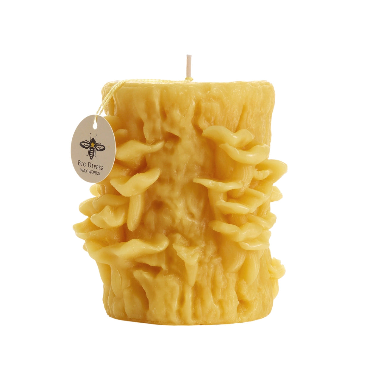 Beeswax Oyster Mushroom Candle