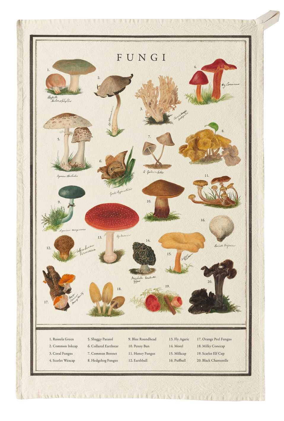 Fungi Tea Towel