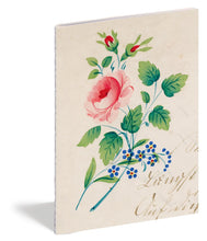 Load image into Gallery viewer, John Derian In the Garden Notebooks