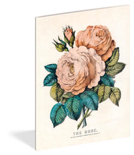 Load image into Gallery viewer, John Derian Everything Roses Notebooks