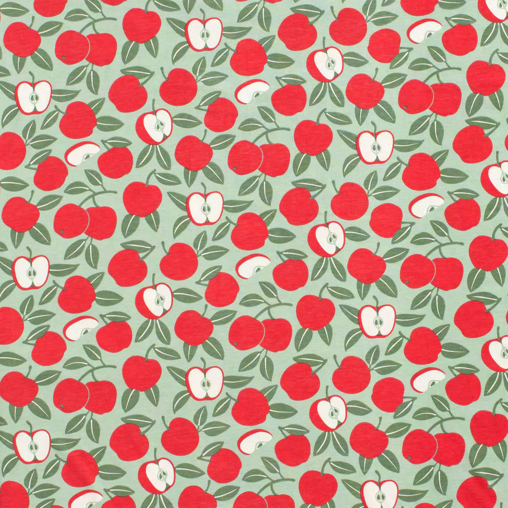 Winter Water Factory | Lausanne Baby Dress in Red and Green Apples