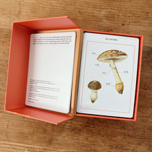 Load image into Gallery viewer, New York Botanical Garden Mushroom Identification Flashcards