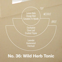 Load image into Gallery viewer, P.F. Candle Co | Wild Herb Tonic Standard Candle