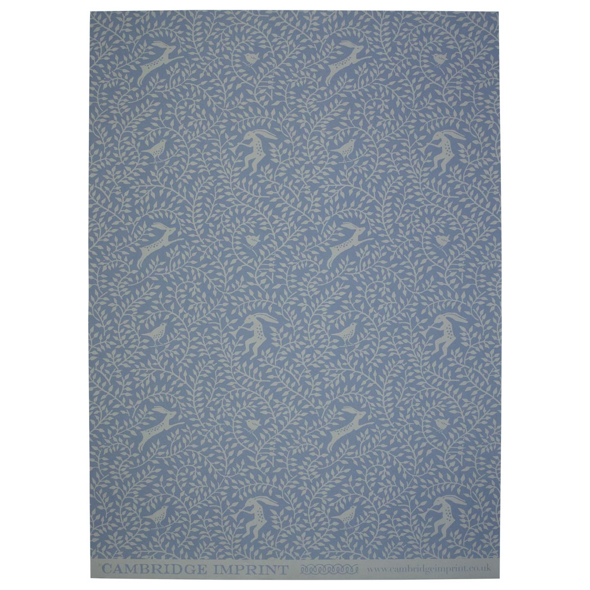 Cambridge Imprint | Dancing Hare Patterned Paper, Blue