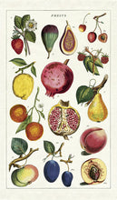 Load image into Gallery viewer, Cavallini | Fruits Tea Towel