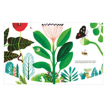 Load image into Gallery viewer, The Forest