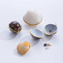 Load image into Gallery viewer, Seashell Coin Purse
