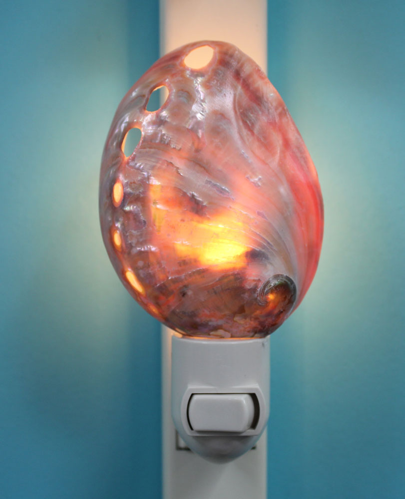 Polished Red Abalone Night Light