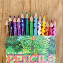 Load image into Gallery viewer, The top of a cardstock box is open to reveal an assortment of colored pencils poking out the top. The box is laying on a hardwood floor. 
