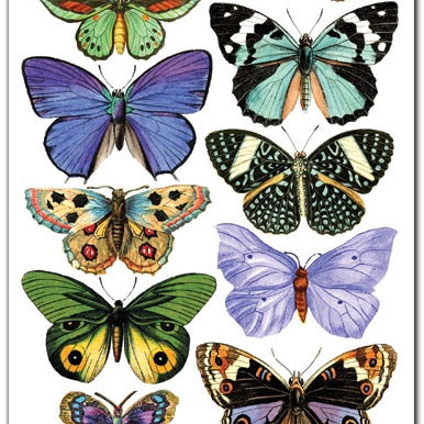 Violette Stickers | Blue Butterflies