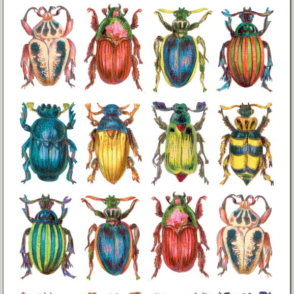 Violette Stickers | Beetles