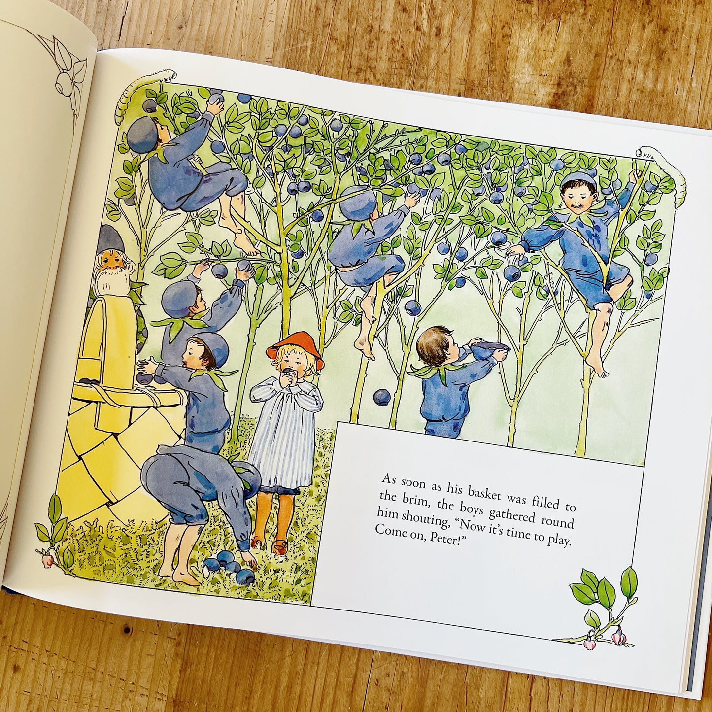 Peter in Blueberry Land