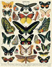 Load image into Gallery viewer, Cavallini | Butterflies 1000 Piece Puzzle
