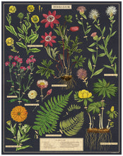 Load image into Gallery viewer, Cavallini | Herbarium 1000 Piece Puzzle
