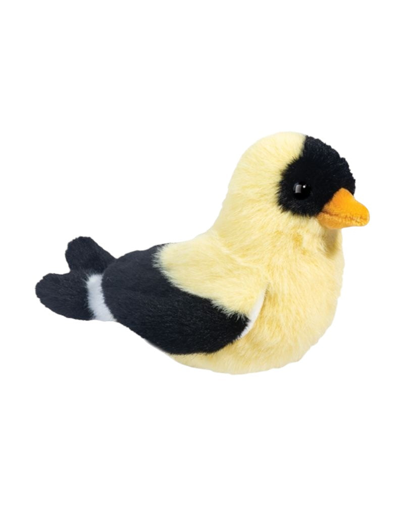 Faye Goldfinch