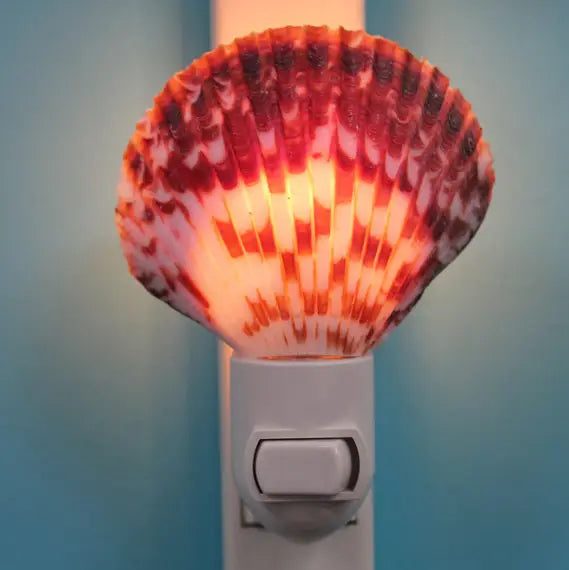 Calico Pecten Seashell Night Light