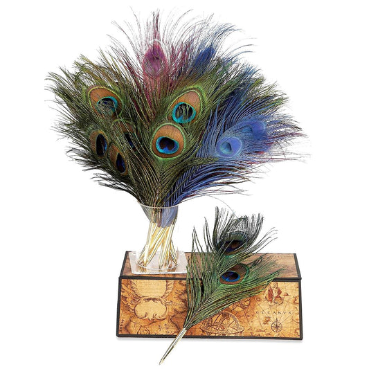 Genuine Peacock Quill Pen