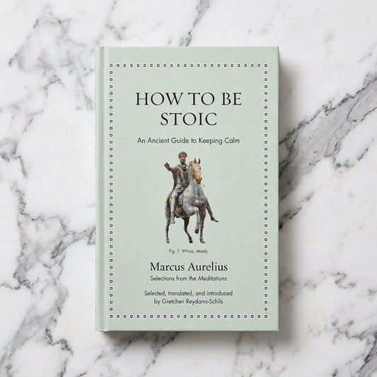 Pale green cover of How to Be Stoic by Marcus Aurelius, translated by Gretchen Reydams-Schils, featuring a statue of a man on horseback.
