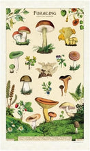 Load image into Gallery viewer, Cavallini | Foraging Tea Towel
