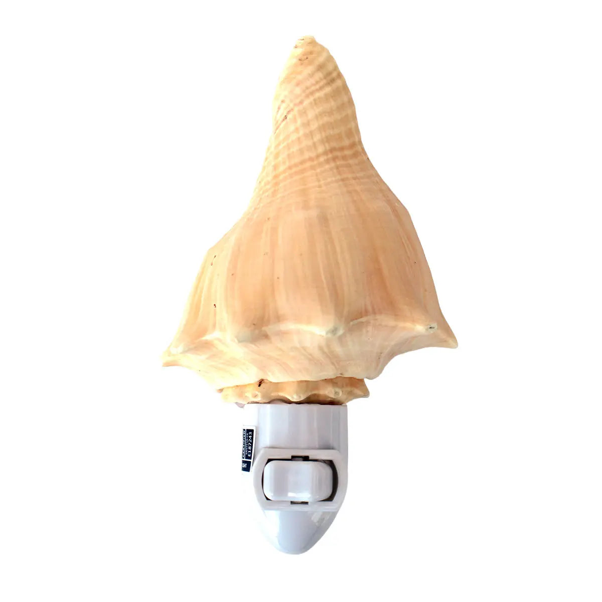 Vole Seashell Night Light