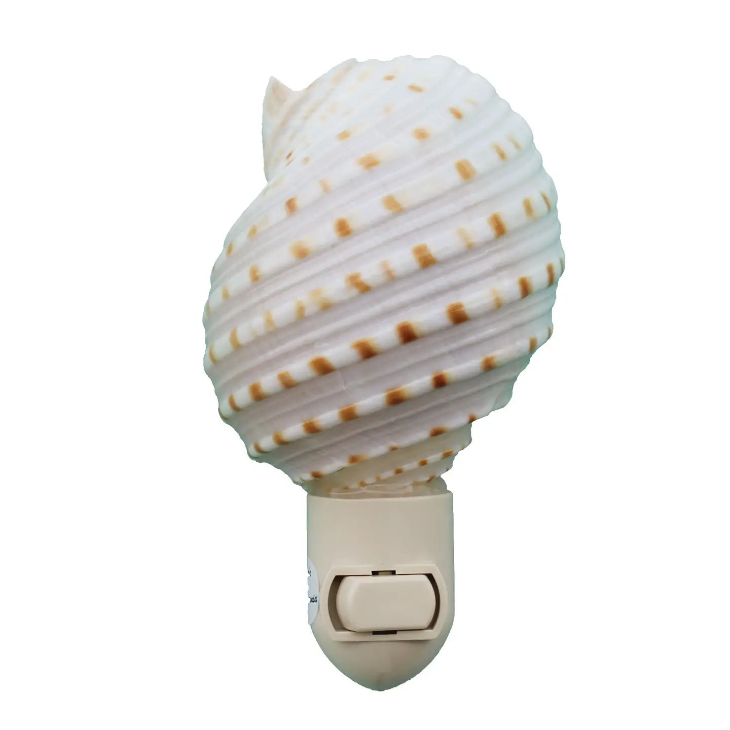 Spotted Tonna Seashell Night Light — a large oval spotted tonna shell with white ribbed ridges and rows of tan dots mounted on a white plastic plug-in switch base with a toggle switch, on a white background