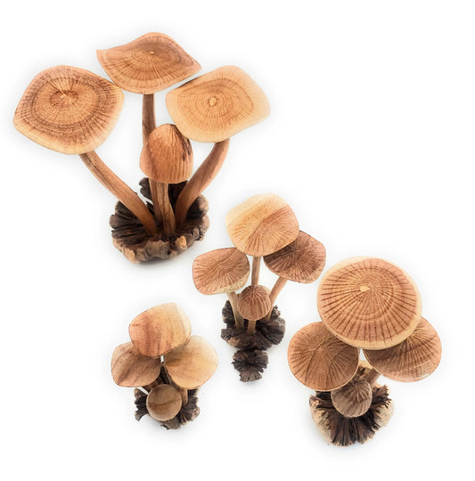Hand Carved Wooden Mushrooms