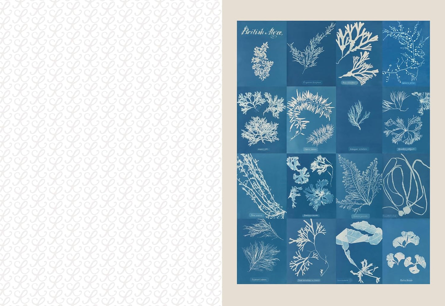 The Collage Compendium