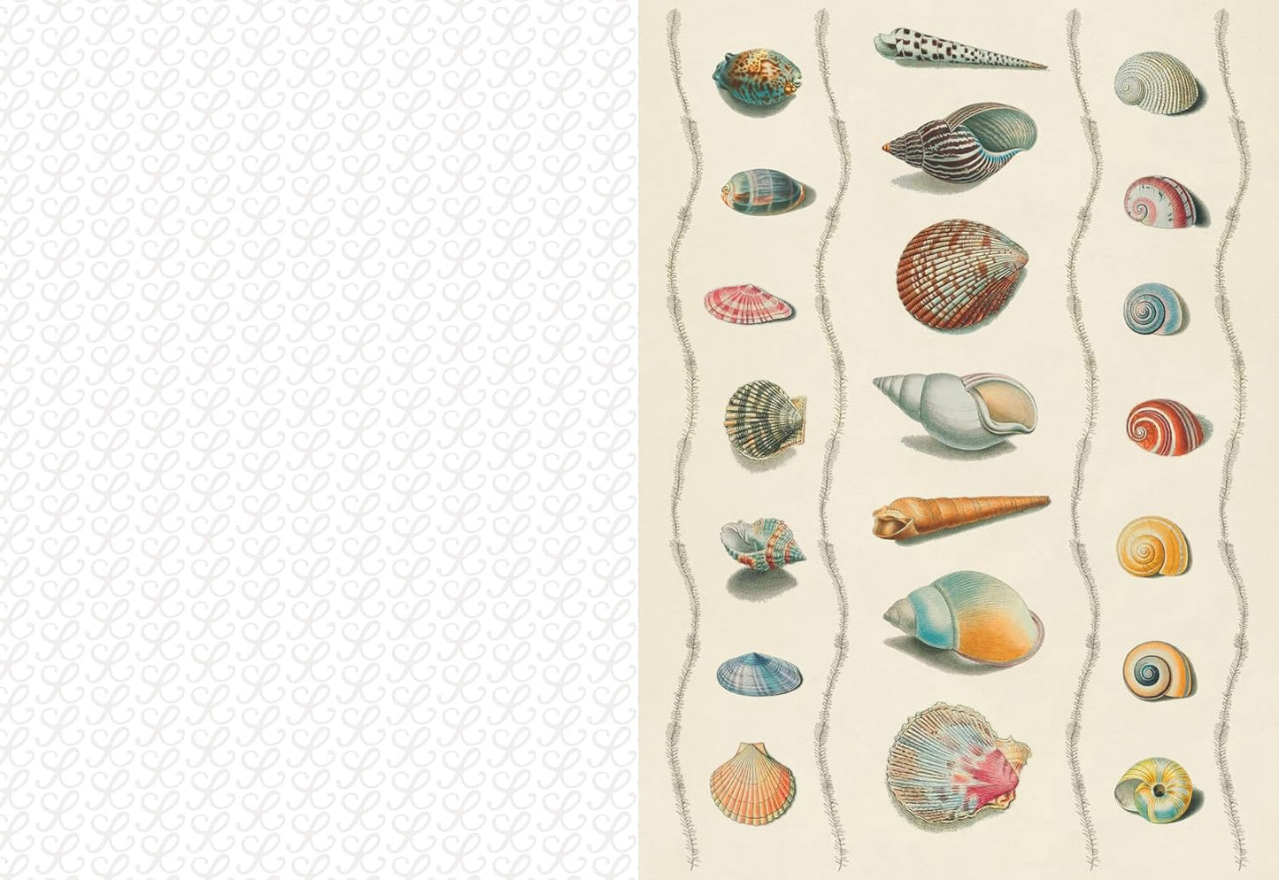 The Collage Compendium