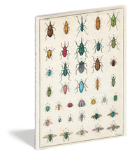 Load image into Gallery viewer, John Derian In the Garden Notebooks
