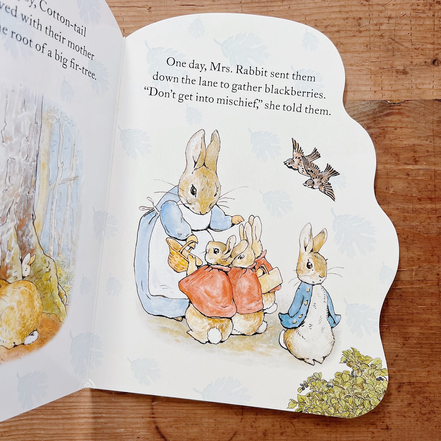 Peter Rabbit