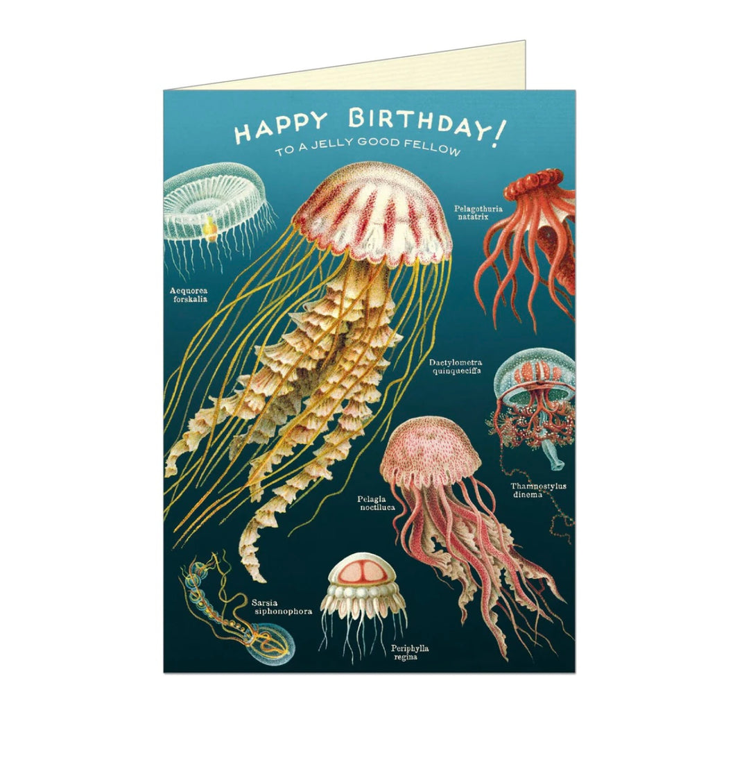 Cavallini | Happy Birthday Jellyfish Card