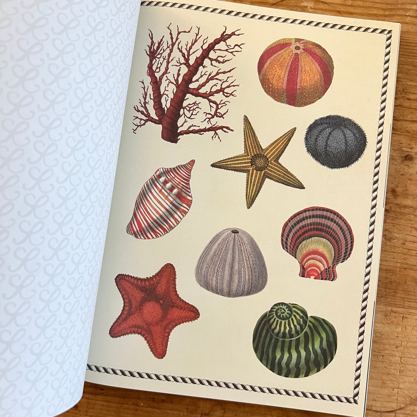 The Collage Compendium