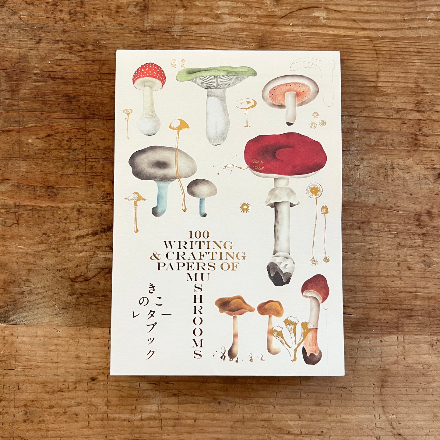 100 Writing and Crafting Papers of Mushrooms