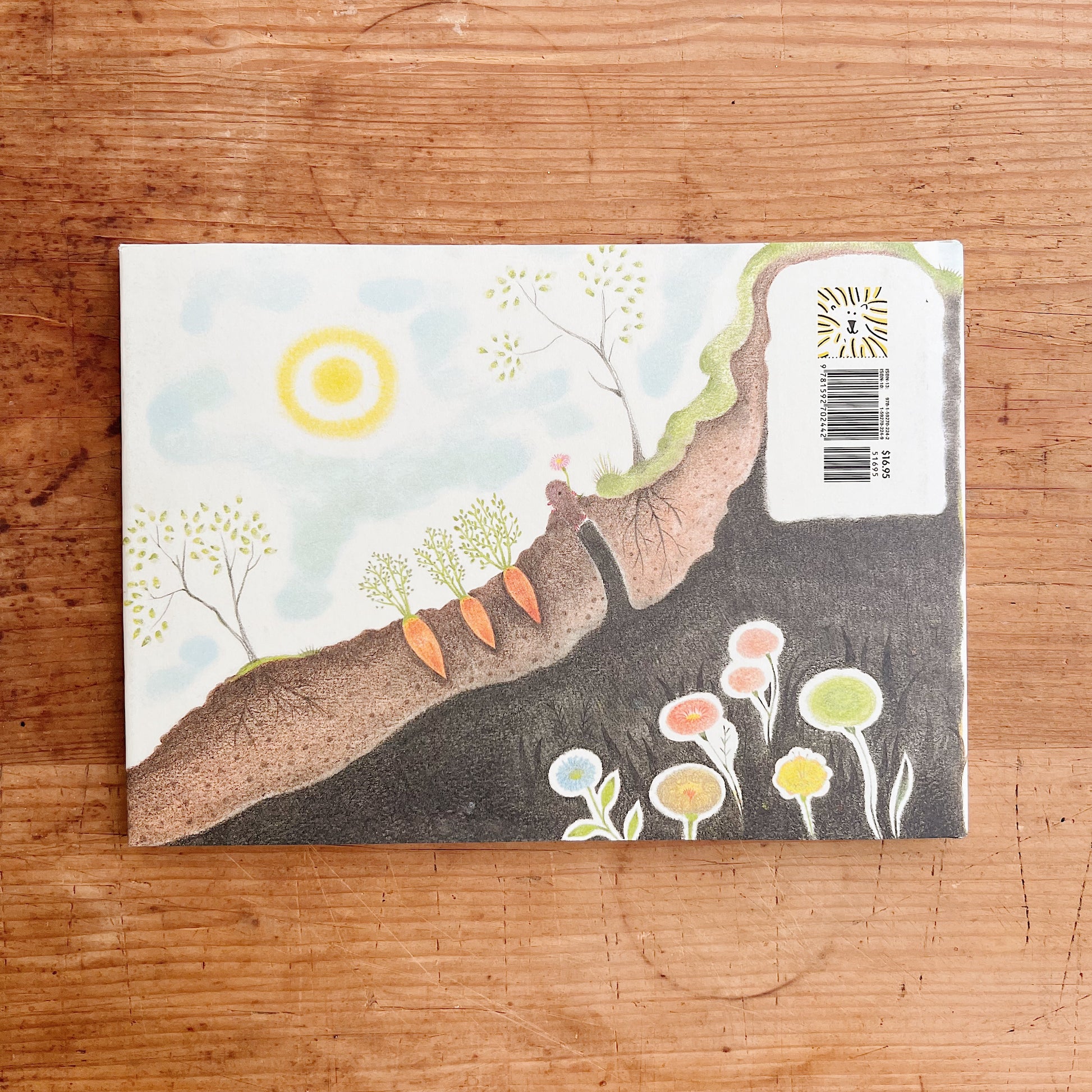 The back cover of the book showing a drawing of the sky, plants growing in the ground and the underground.