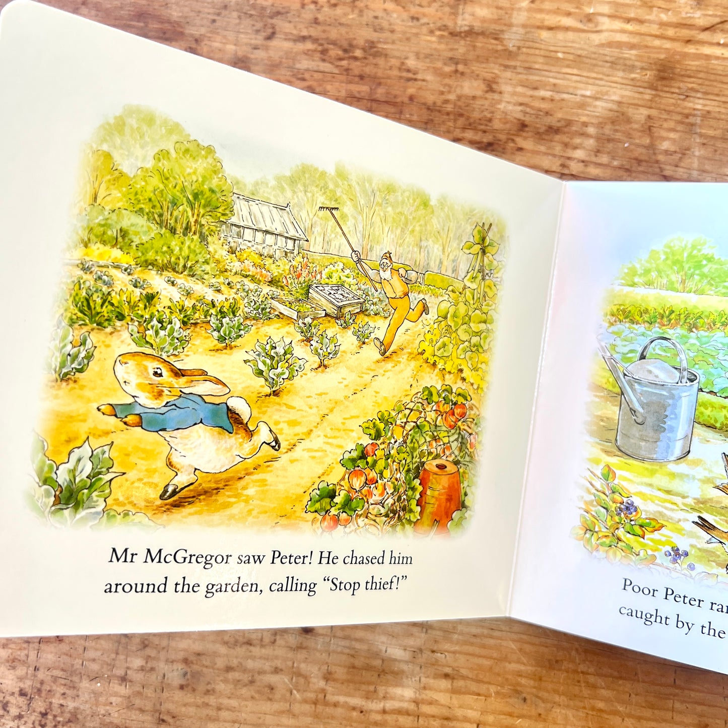 The Tale of Peter Rabbit: A Story Board Book