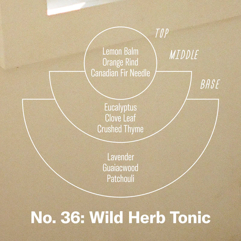 Wild Herb Tonic Standard Candle