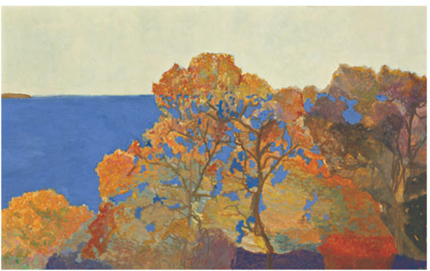 Water Through the Trees Card