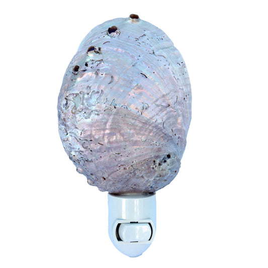 Pearl Abalone Seashell Night Light