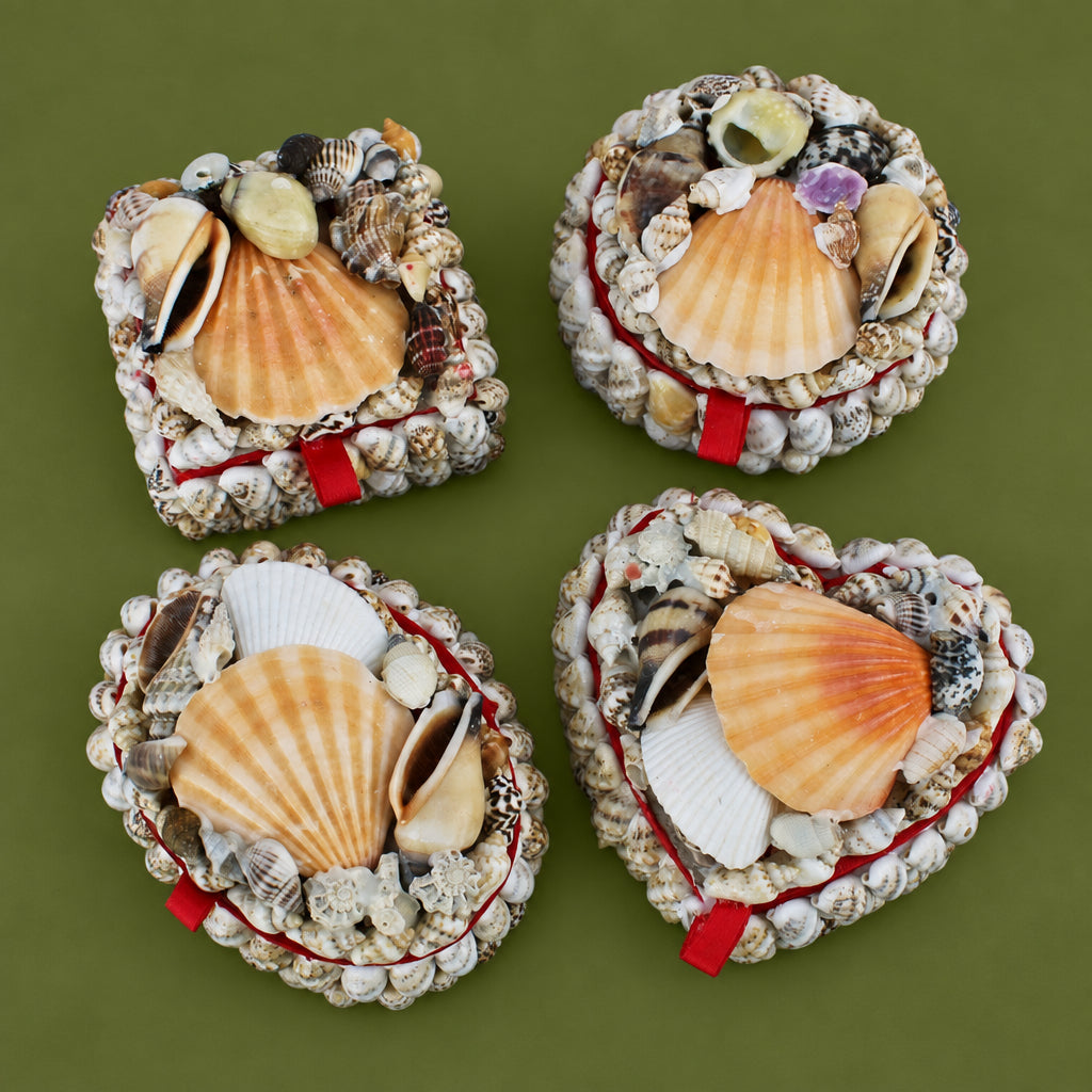 Seashell Packaging Small Seashell Box – Dotter