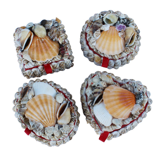 Small Seashell Box
