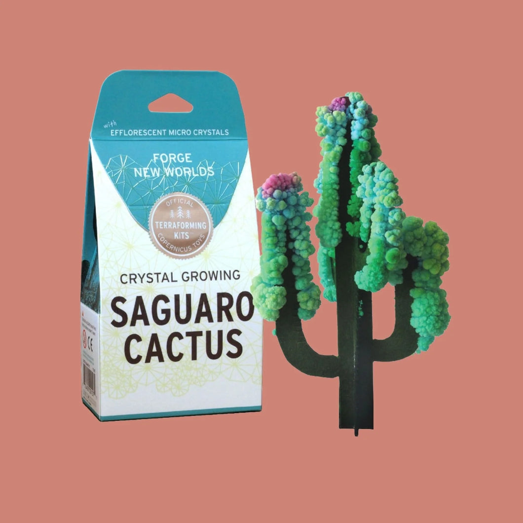Crystal Growing Kit | Saguaro Cactus