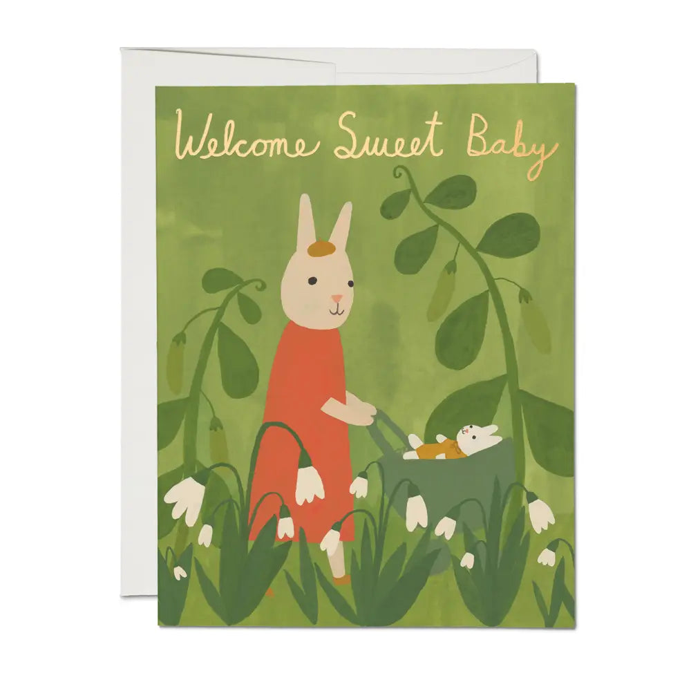 Welcome Sweet Baby Bunny Card