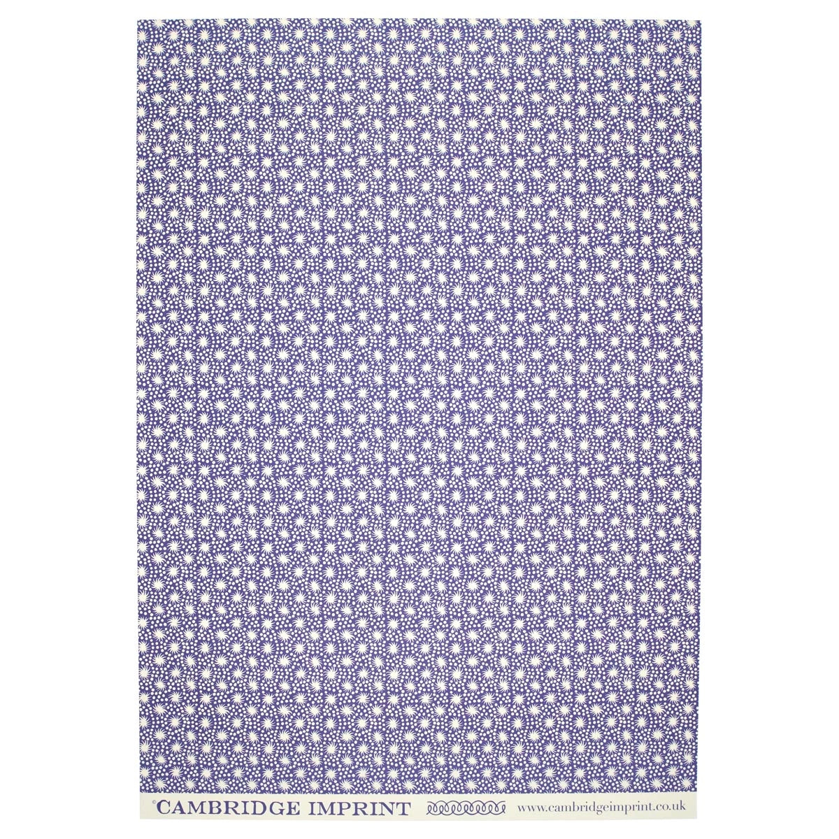 Cambridge Imprint | Animalcules Patterned Paper, Twilight