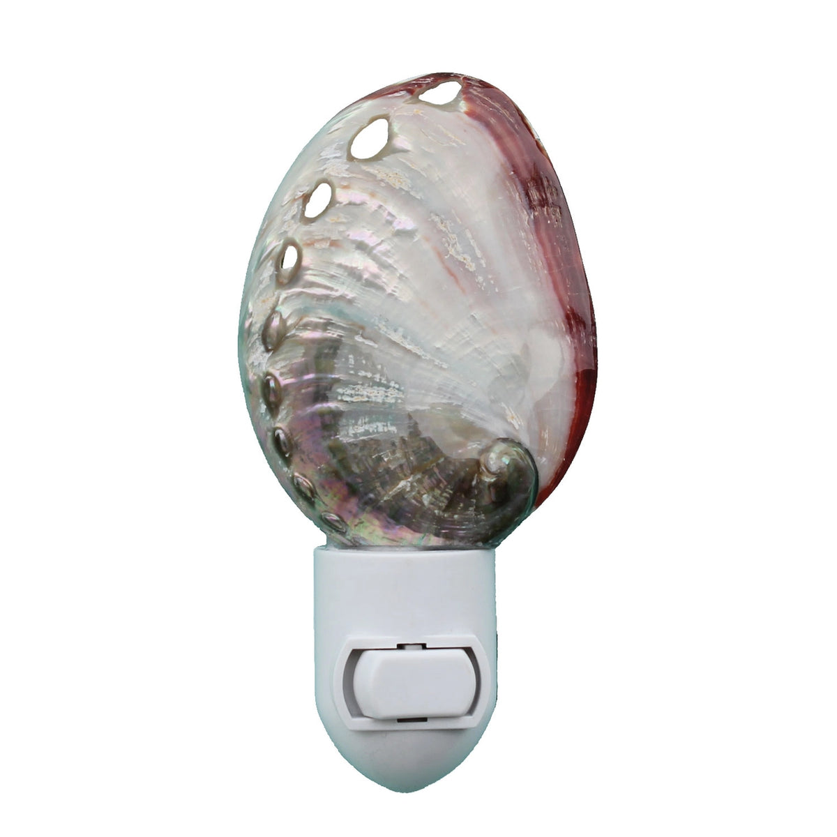 Polished Red Abalone Night Light featuring an iridescent red abalone shell with silver, pink, and red tones and breathing holes, mounted on a white plastic switch base, on a white background
