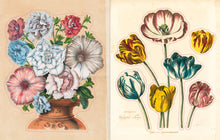 Load image into Gallery viewer, The John Derian Sticker Book
