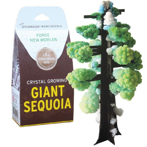 Crystal Growing Kit | Giant Sequoia