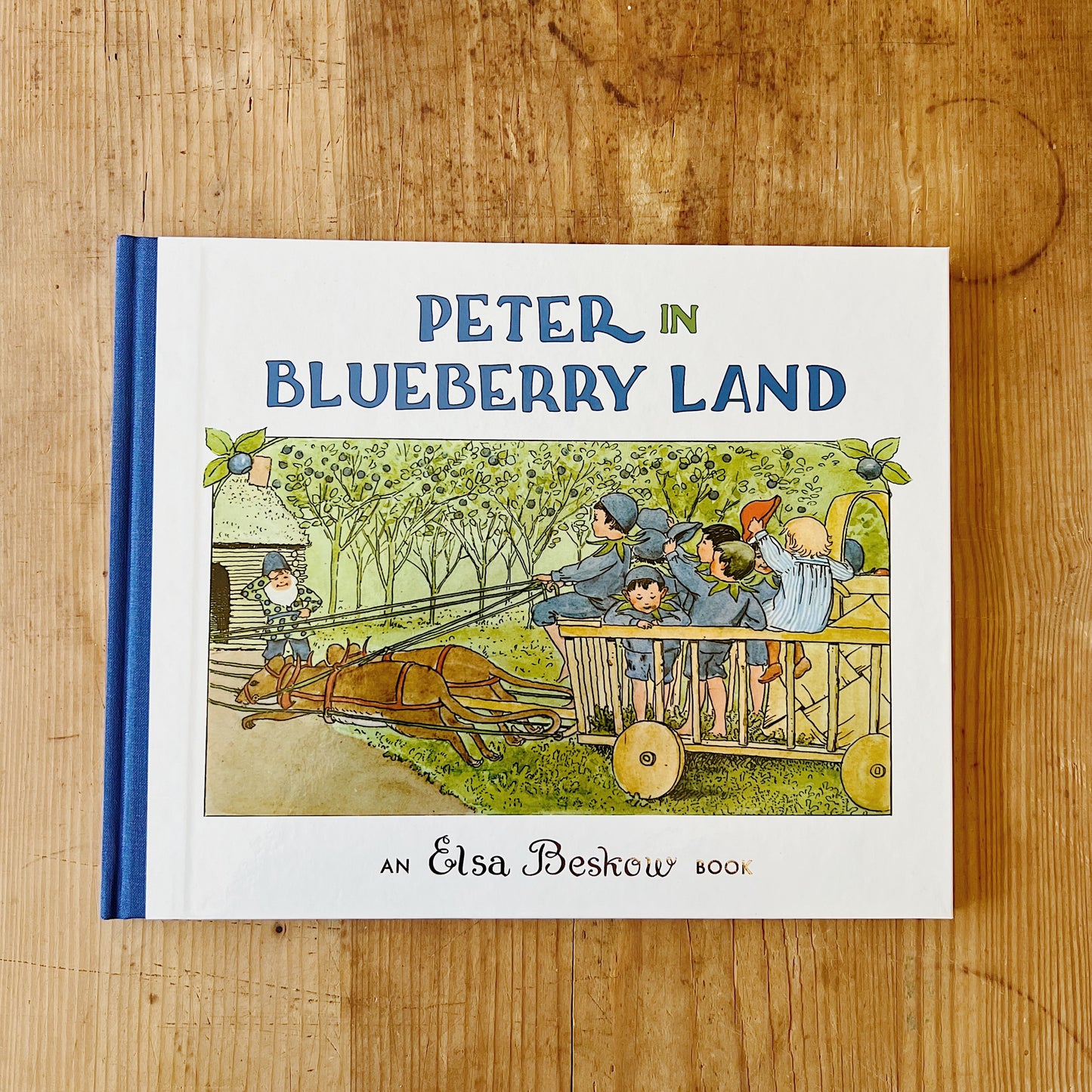 Peter in Blueberry Land