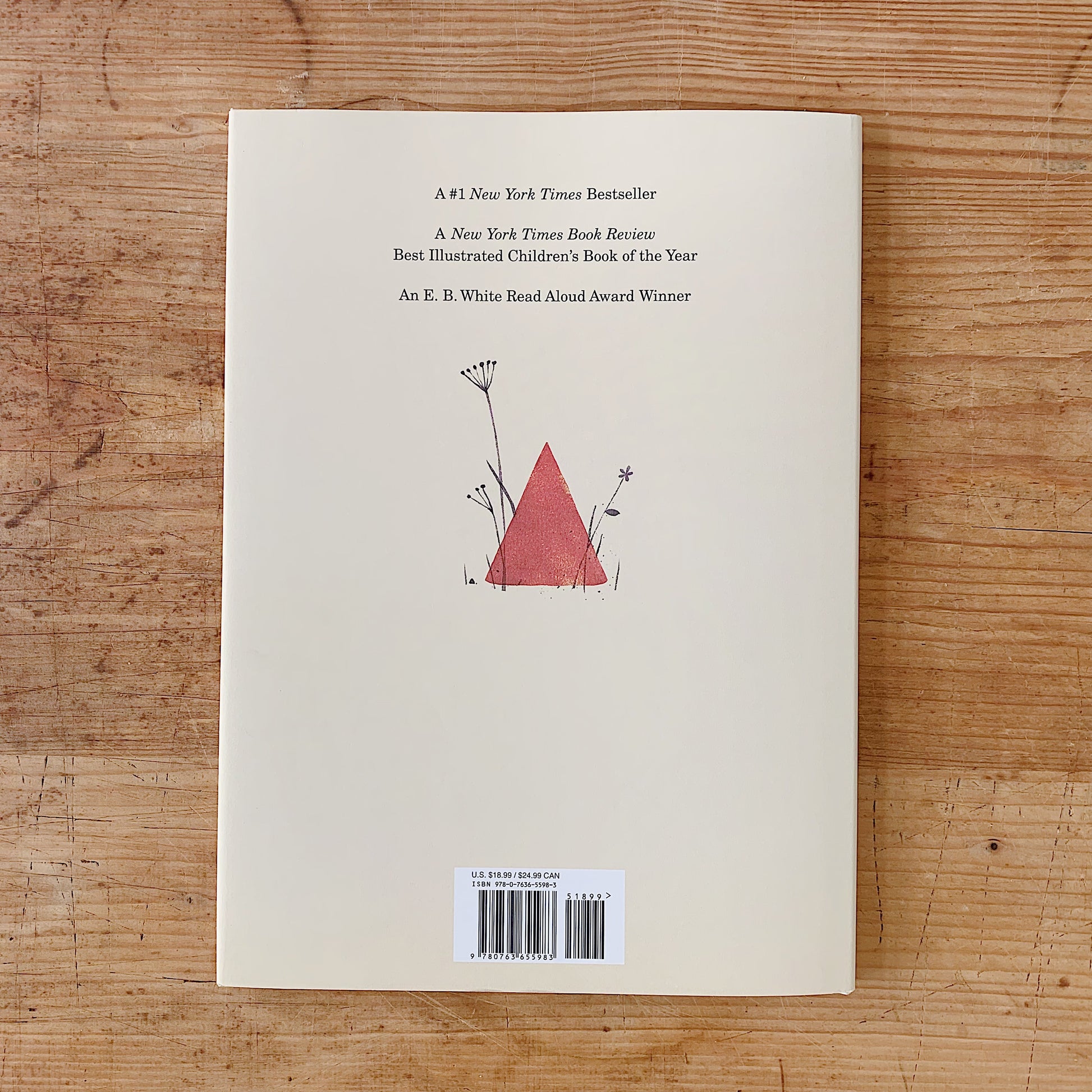 Back cover of I Want My Hat Back showing a red triangular hat nestled among wildflowers on a cream background, with accolades reading #1 New York Times Bestseller, New York Times Book Review Best Illustrated Children's Book of the Year, and E.B. White Read Aloud Award Winner

