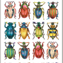 Load image into Gallery viewer, Violette Stickers | Beetles
